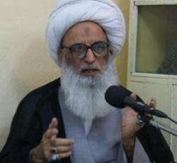 اية الله العظمى الشيخ بشير حسين النجفي.