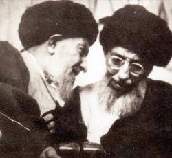 صورة تجمع اية الله العظمى السيد محسن الحكيم والسيد حسين القاضي