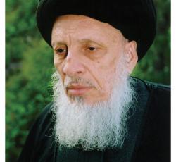 السيد محمد سعيد الحكيم