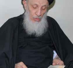 السيد الحكيم