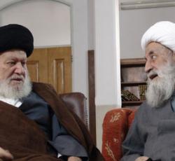 الشيخ_جواد_التبريزي_والسيد_علي_مكي_العاملي