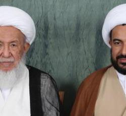 اية اله العظمى الشيخ الفياض وشيخ علي ال محسن.