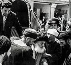 السيد البروجردي