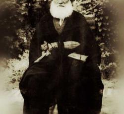 السيد حسين البروجردي